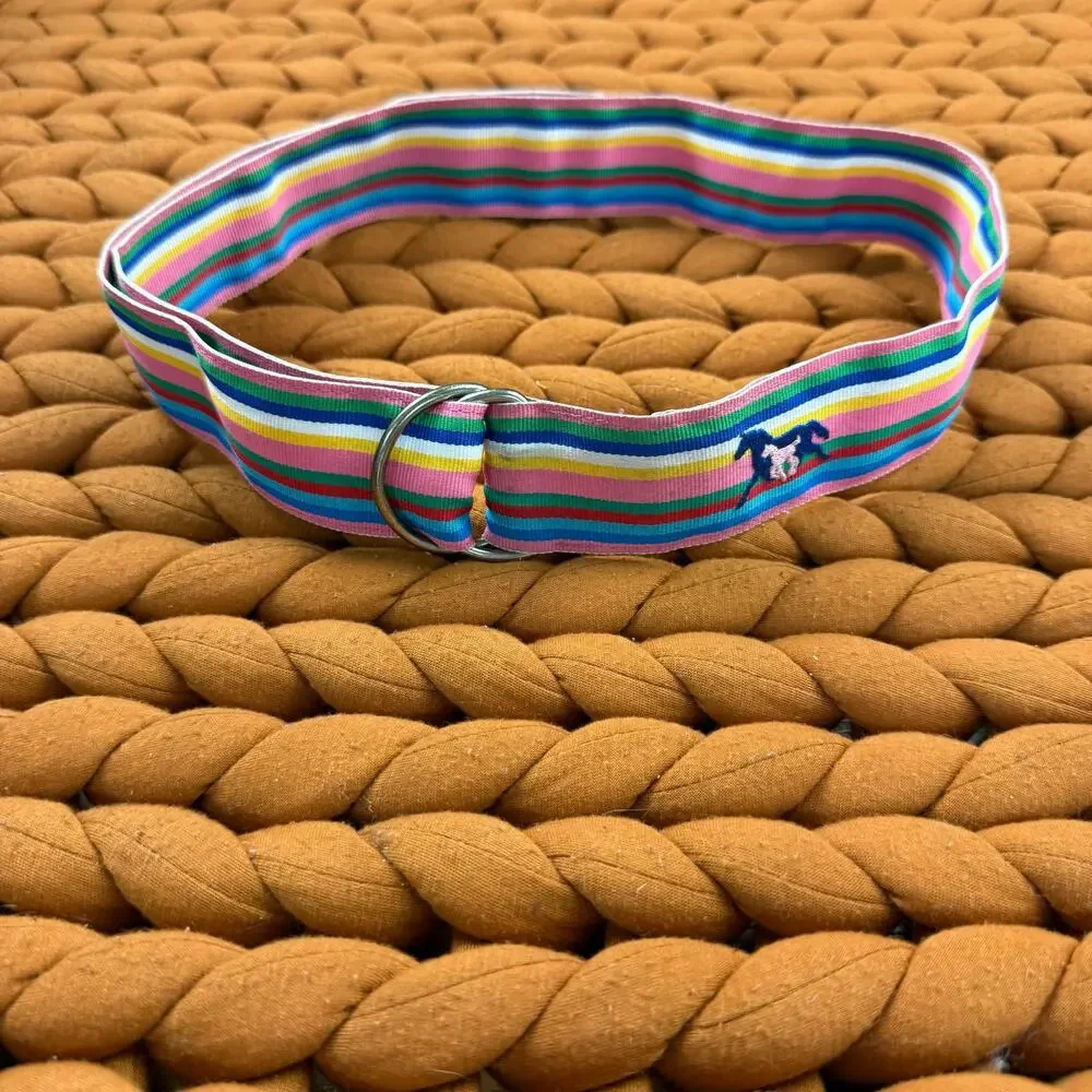 EQ Equestrian Horse Rainbow Stripe Grosgrain Ribbon Belt M Medium Girls